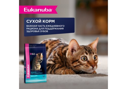 Eukanuba Mature Chicken / Паучи (Влажный корм) Эукануба для Пожилых кошек старше 7 лет с Курицей (цена за упаковку)