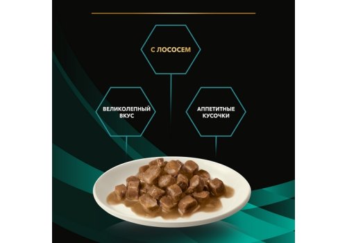 PRO PLAN VETERINARY DIETS EN ST\OX GASTROINTESTINAL / Лечебный Влажный корм Паучи ПРО ПЛАН Ветеринарная диета при расстройствах пищеварения с Лососем (цена за упаковку)