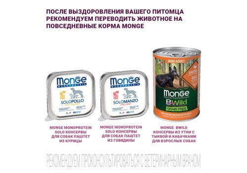 Monge VetSolution Dog Gastrointestinal / Ветеринарная диета Монж Гастроинтестинал для собак при заболеваниях ЖКТ СРОК: 30.06.2025г.