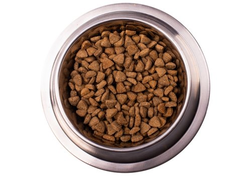 Monge VetSolution Dog Diabetic / Ветеринарная диета Монж Диабетик для собак при сахарном диабете СРОК: 10.07.2025г.