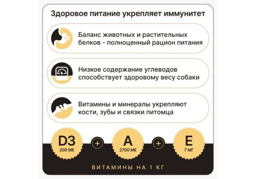 Дворянин Холистик / Сухой корм для взрослых собак всех пород с Индейкой и ягненком