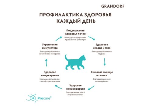 Grandorf Kitten Lamb & Rice / Сухой корм Грандорф Низкозерновой для Котят Ягненок Индейка