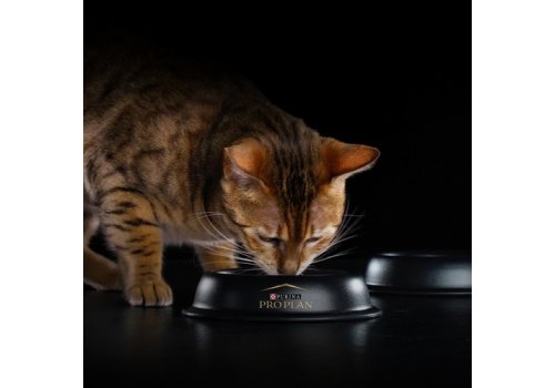 PRO PLAN ORIGINAL / Сухой корм ПРО ПЛАН для взрослых кошек для поддержания здоровья почек с курицей