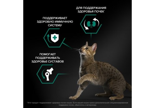 PRO PLAN ORIGINAL / Сухой корм ПРО ПЛАН для взрослых кошек для поддержания здоровья почек с курицей