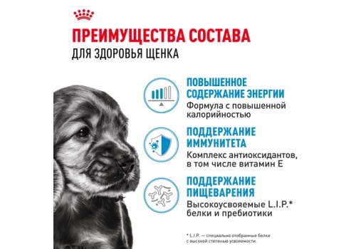 Royal Canin Mini Puppy / Влажный корм (Паучи) Роял Канин Мини Паппи для Щенков Мелких пород в возрасте от 2 до 10 месяцев (цена за упаковку)
