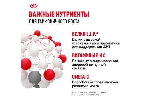 Royal Canin Mini Puppy / Влажный корм (Паучи) Роял Канин Мини Паппи для Щенков Мелких пород в возрасте от 2 до 10 месяцев (цена за упаковку)