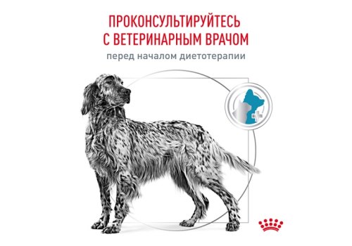 Royal Canin Hypoallergenic DR21 / Ветеринарный сухой корм Роял Канин Гипоаллергенный для собак с Пищевой аллергей и непереносимостью