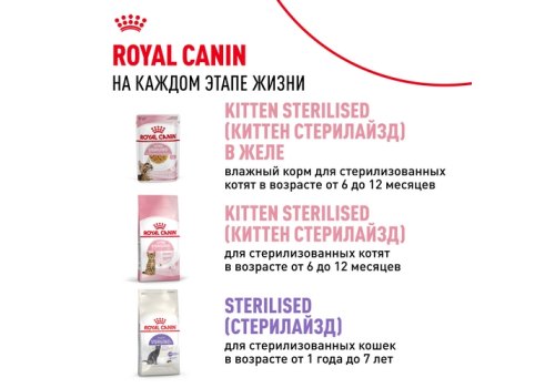 Royal Canin Kitten Instinctive / Влажный корм (Консервы-Паучи) Роял Канин Киттен Инстинктив для Котят в возрасте от 4 до 12 месяцев в Соусе (цена за упаковку)