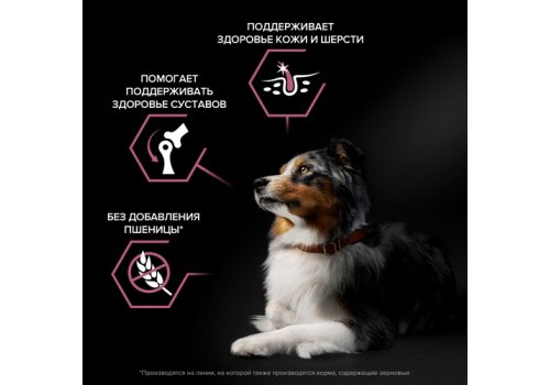 PRO PLAN OPTI DERMA / Сухой корм ПРО ПЛАН для взрослых собак средних пород при чувствительной коже с лососем