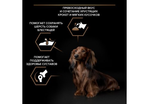PRO PLAN DUO DELICE /Сухой корм ПРО ПЛАН для взрослых собак мелких пород с говядиной