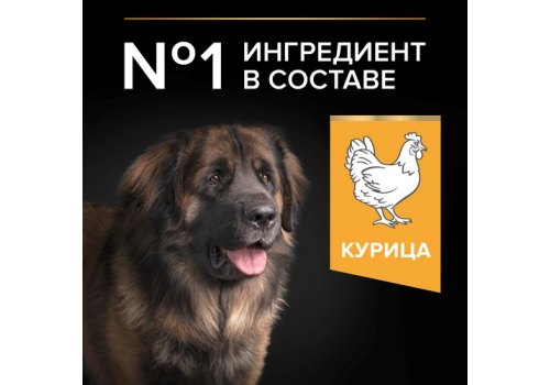 PRO PLAN OPTI BALANCE / Сухой корм ПРО ПЛАН для взрослых собак крупных пород с мощным телосложением с курицей