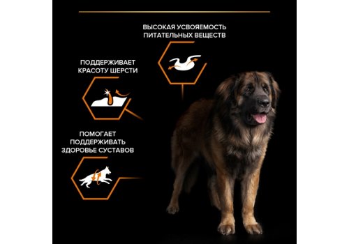 PRO PLAN OPTI BALANCE / Сухой корм ПРО ПЛАН для взрослых собак крупных пород с мощным телосложением с курицей