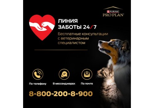 PRO PLAN OPTI BALANCE / Сухой корм ПРО ПЛАН для взрослых собак крупных пород с мощным телосложением с курицей