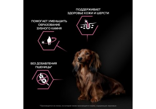 PRO PLAN OPTI DERMA / Сухой корм ПРО ПЛАН для взрослых собак мелких пород при чувствительной коже с лососем