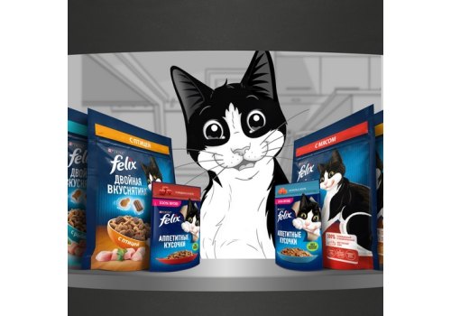 FELIX ДВОЙНАЯ ВКУСНЯТИНА / Сухой корм Пурина Феликс для взрослых кошек с птицей