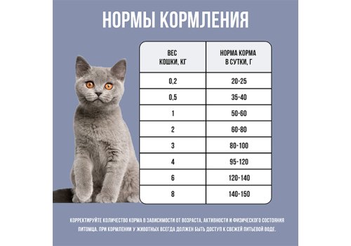 BOWL WOW / Сухой корм Боул Вау для Котят с Курицей и черникой