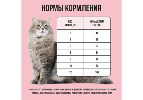 BOWL WOW / Сухой корм Боул Вау для Взрослых кошек с Индейкой и яблоком