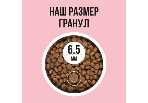 BOWL WOW / Сухой корм Боул Вау для Взрослых кошек с Индейкой и яблоком