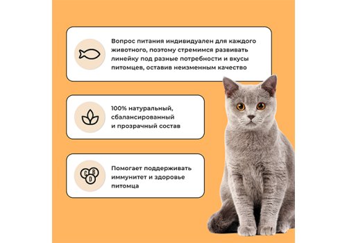 BOWL WOW / Сухой корм Боул Вау для кошек с Чувствительным пищеварением с Индейкой и тыквой