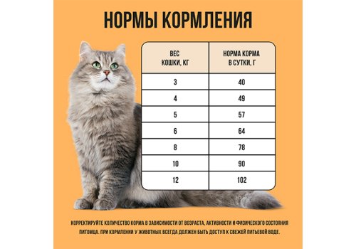 BOWL WOW / Сухой корм Боул Вау для кошек с Чувствительным пищеварением с Индейкой и тыквой