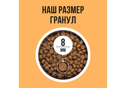 BOWL WOW / Сухой корм Боул Вау для кошек с Чувствительным пищеварением с Индейкой и тыквой