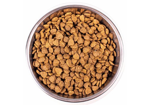 Monge Cat Indoor / Сухой корм Монж для Домашних кошек