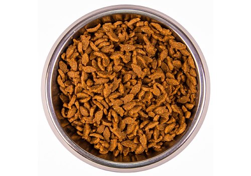 Monge Cat Adult Salmon / Сухой корм Монж для Взрослых кошек Лосось