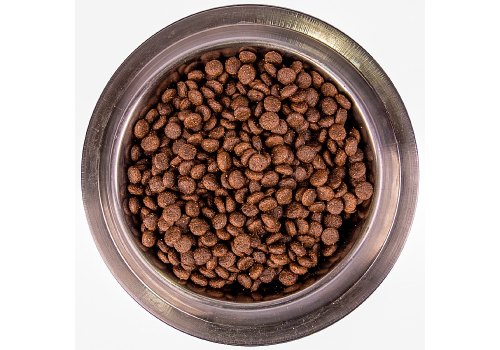 Monge BWild Low Grain Puppy & Junior Deer / Сухой Низкозерновой корм Монж Бивайлд для Щенков всех пород мясо Оленя