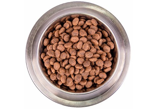 Monge Dog BWild Low Grain Adult All Breeds Wild Boar / Сухой Низкозерновой корм Монж Бивайлд для взрослых собак всех пород мясо Дикого Кабана