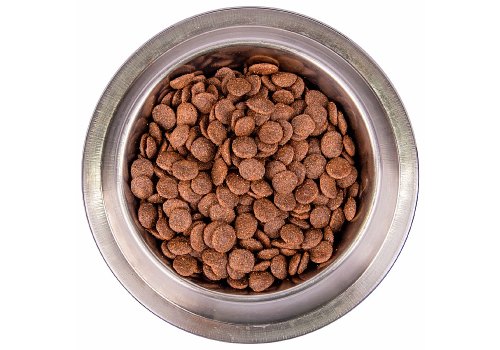 Monge Dog BWild Low Grain Adult All Breeds Goose / Сухой Низкозерновой корм Монж Бивайлд для взрослых собак всех пород мясо Гуся