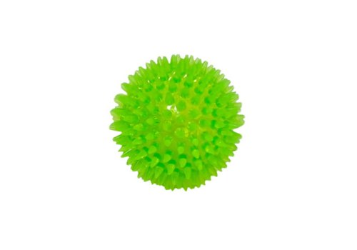 Homepet TPR / Игрушка Хоумпет для собак Мячик с шипами с пищалкой зеленый Homepet TPR / Игрушка Хоумпет для собак Мячик с шипами с пищалкой зеленый