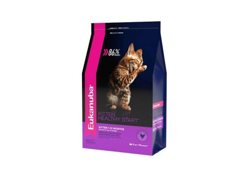 Eukanuba Kitten Healthy Start Chicken / Сухой корм Эукануба для Котят Здоровый старт с домашней птицей Eukanuba Kitten Healthy Start Chicken / Сухой корм Эукануба для Котят Здоровый старт с домашней птицей