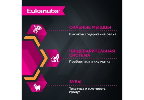 Eukanuba Top Condition Adult Chicken / Сухой корм Эукануба для взрослых кошек с домашней птицей