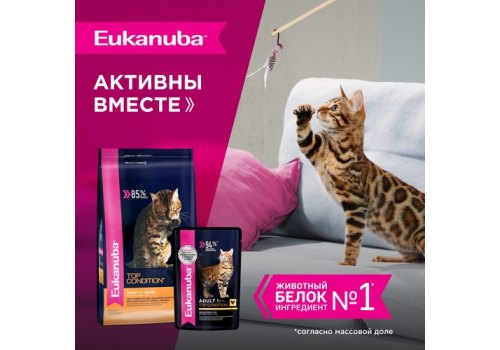 Eukanuba Top Condition Adult Chicken / Сухой корм Эукануба для взрослых кошек с домашней птицей