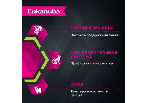 Eukanuba Hairball Control Adult Chicken / Сухой корм Эукануба для взрослых кошек Вывод волосяных комочков c Курицей