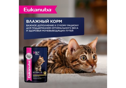 Eukanuba Kitten Healthy Start Chicken / Сухой корм Эукануба для Котят Здоровый старт с домашней птицей