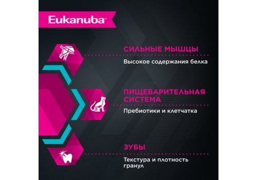 Eukanuba Senior Top Condition Chicken / Сухой корм Эукануба для Пожилых кошек с Курицей
