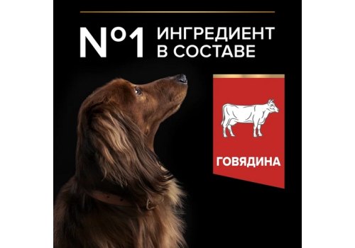 PRO PLAN DUO DELICE /Сухой корм ПРО ПЛАН для взрослых собак мелких пород с говядиной