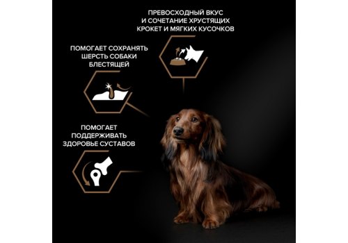 PRO PLAN DUO DELICE /Сухой корм ПРО ПЛАН для взрослых собак мелких пород с говядиной