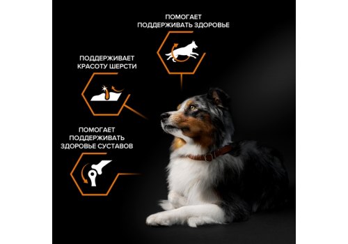 PRO PLAN OPTI BALANCE / Сухой корм ПРО ПЛАН для взрослых собак средних пород с курицей