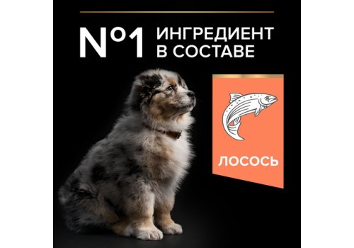 PRO PLAN OPTI DERMA / Сухой корм ПРО ПЛАН для щенков средних пород при чувствительной коже с лососем