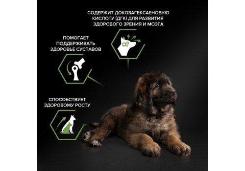 PRO PLAN OPTI START / Сухой корм ПРО ПЛАН для щенков крупных пород с мощным телосложением с курицей
