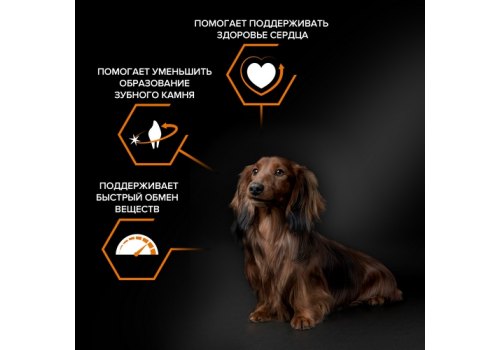 PRO PLAN OPTI BALANCE / Сухой корм ПРО ПЛАН для взрослых собак мелких пород с курицей