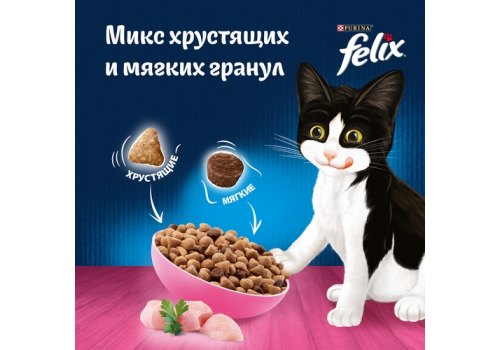 FELIX ДВОЙНАЯ ВКУСНЯТИНА / Сухой корм Пурина Феликс для котят с курицей