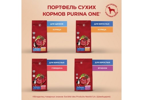 PURINA ONE ADULT / Сухой корм Пурина УАН для взрослых собак средних и крупных пород с говядиной