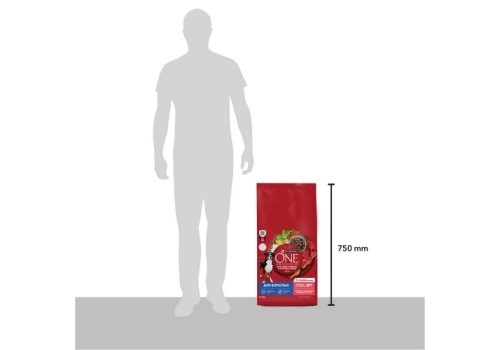 PURINA ONE ADULT / Сухой корм Пурина УАН для взрослых собак средних и крупных пород с говядиной