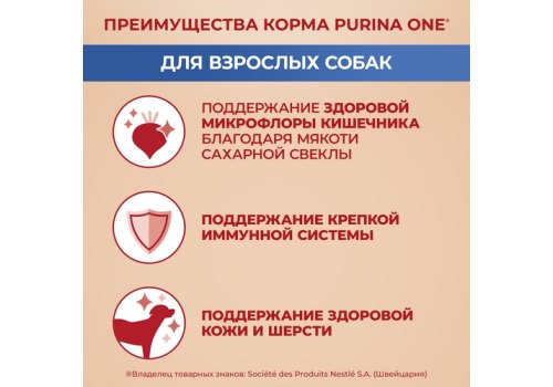PURINA ONE ADULT / Сухой корм Пурина УАН для взрослых собак средних и крупных пород с говядиной