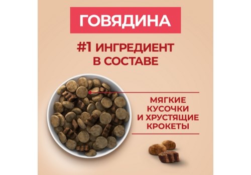 PURINA ONE ADULT / Сухой корм Пурина УАН для взрослых собак средних и крупных пород с говядиной
