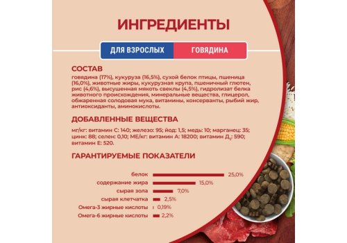 PURINA ONE ADULT / Сухой корм Пурина УАН для взрослых собак средних и крупных пород с говядиной
