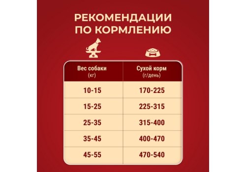 PURINA ONE ADULT / Сухой корм Пурина УАН для взрослых собак средних и крупных пород с говядиной